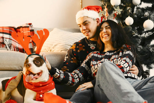 celebrating Christmas with pets