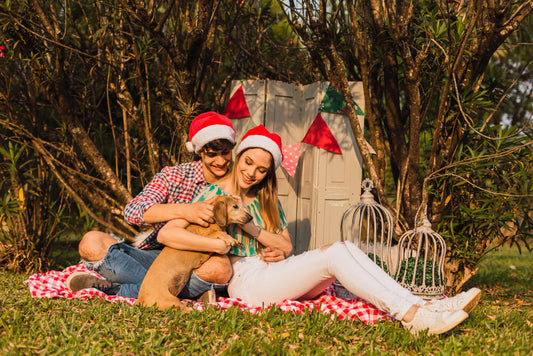 couple enjoying a Christmas picnic set-up