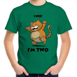 Second birthday happy cat T Shirt